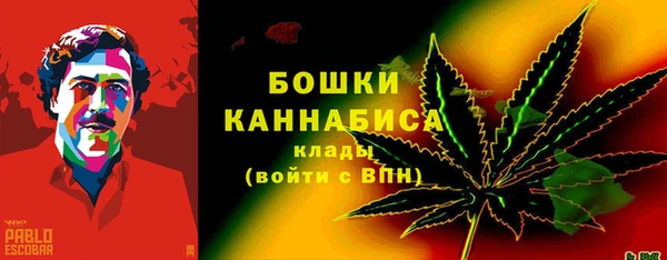 PSILOCYBIN Корсаков