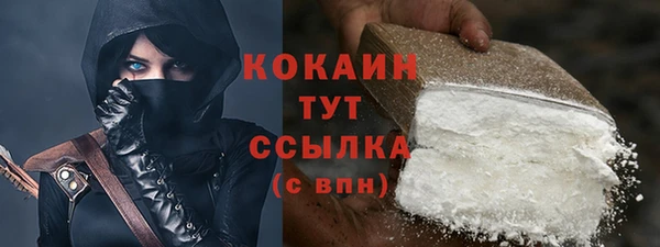 PSILOCYBIN Корсаков