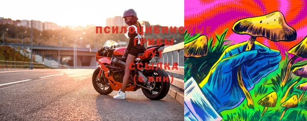PSILOCYBIN Корсаков