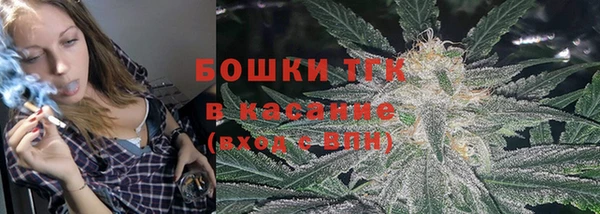 PSILOCYBIN Корсаков