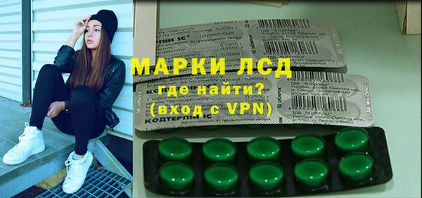 PSILOCYBIN Корсаков