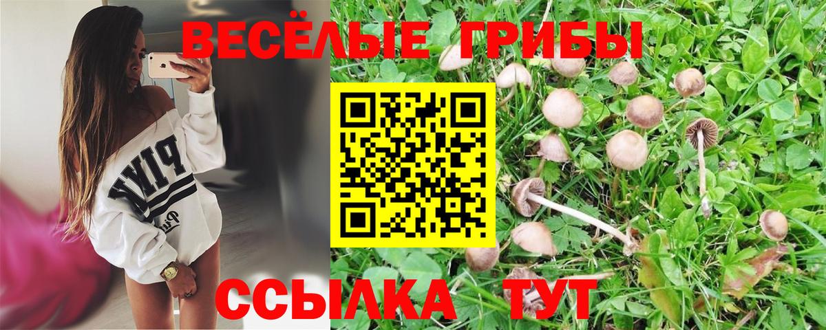 Псилоцибиновые грибы Magic Shrooms  Галлюциногенные грибы мицелий  Вход с VPN  Оренбург 