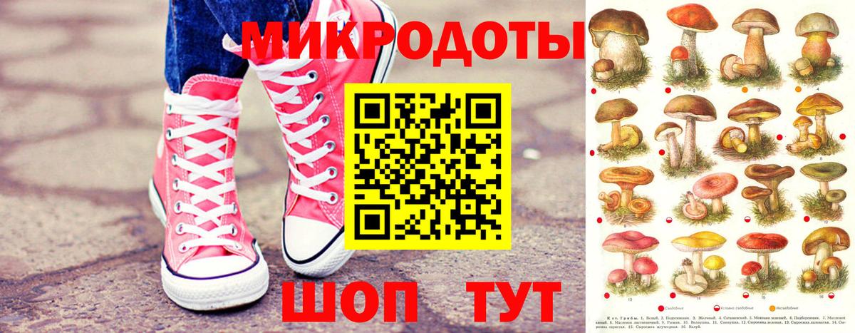 Псилоцибиновые грибы прущие грибы Оренбург